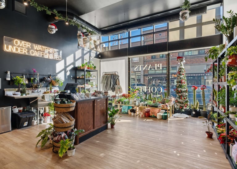 Modern retail clothing store interior with wooden flooring, suspended plants, display windows, checkout counter, and holiday decorations